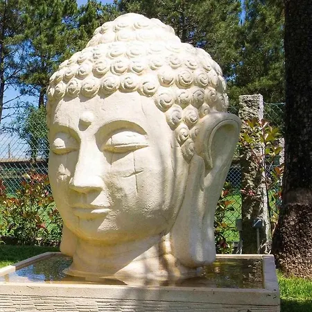 Montalvo فيلة سانكسينكسو